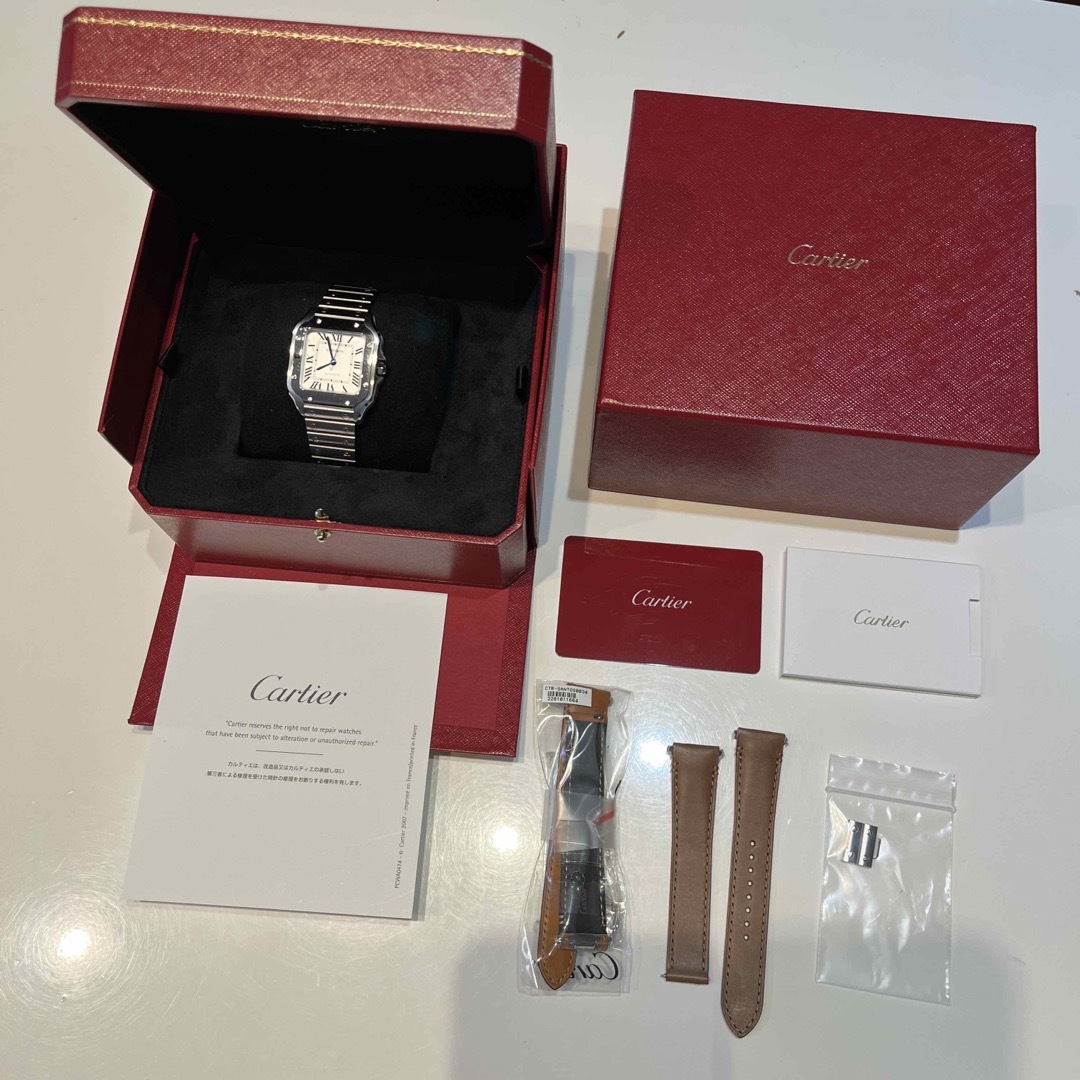 Cartier SANTOS DE CARTIER WSSA0029 22/12