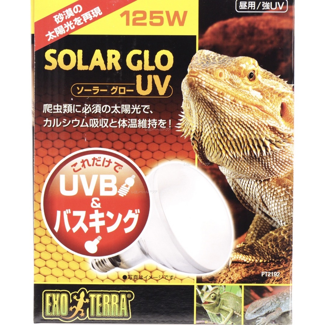 GEX(ジェックス)のちょび様用　GEXエキゾテラ　ライトスタンドセット その他のペット用品(爬虫類/両生類用品)の商品写真