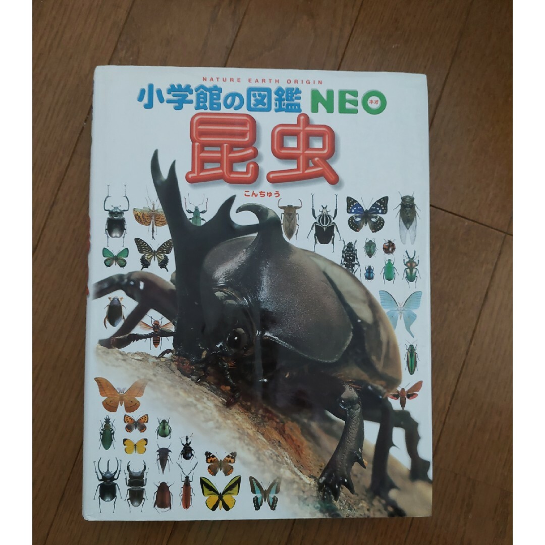 小学館(ショウガクカン)の小学舘の図鑑 NEO 『昆虫』美品 エンタメ/ホビーの本(絵本/児童書)の商品写真