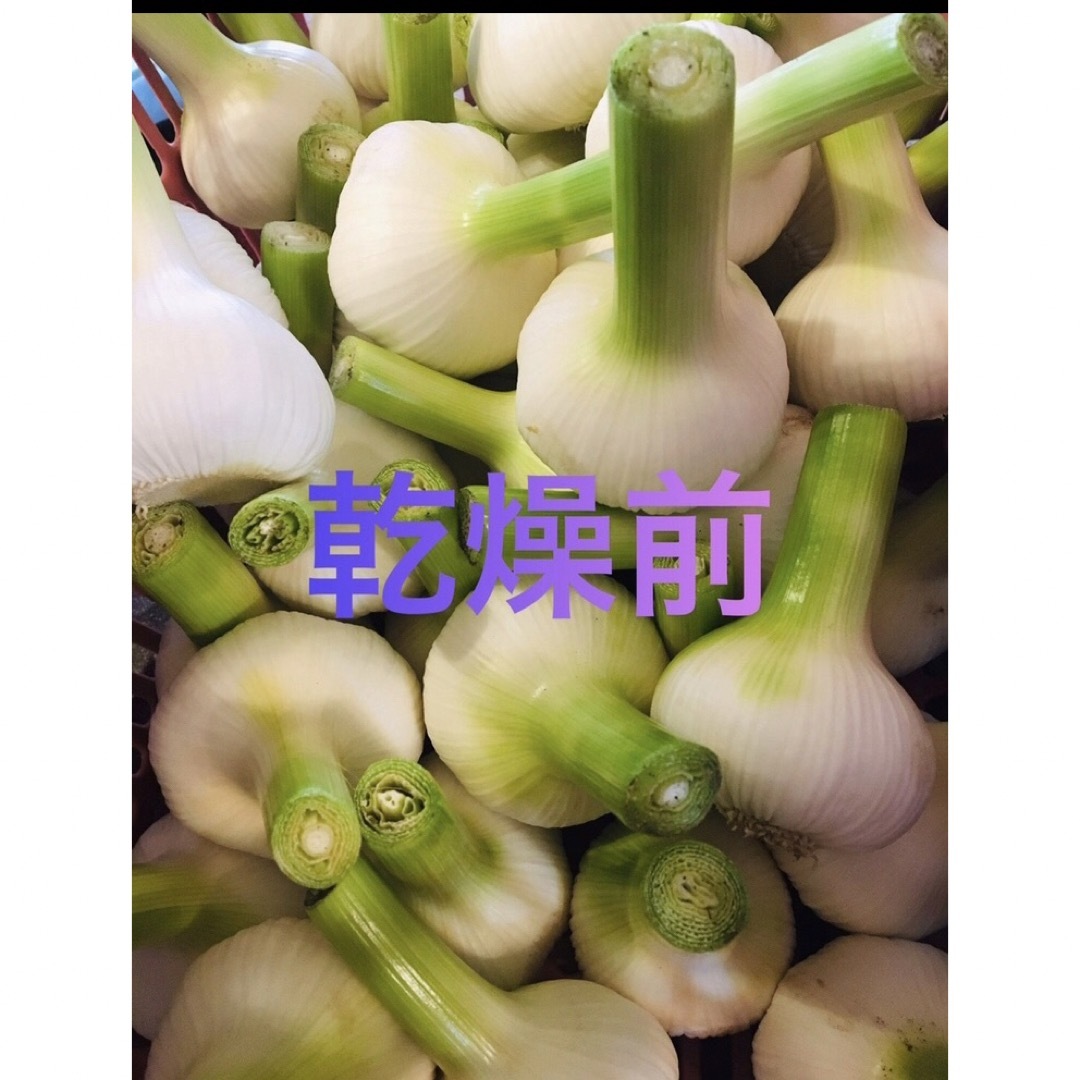 国産埼玉県産黒ニンニク600gサービスあり 食品/飲料/酒の食品(野菜)の商品写真