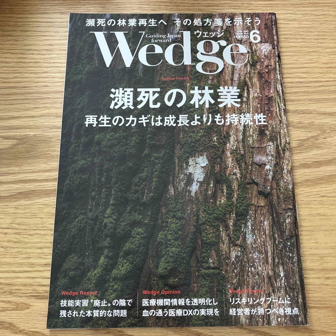 Wedge(ウェッジ) 2023年 06月号 エンタメ/ホビーの雑誌(ビジネス/経済/投資)の商品写真