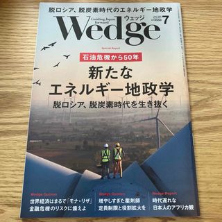 Wedge(ウェッジ) 2023年 07月号(ビジネス/経済/投資)