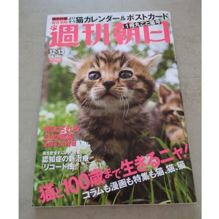 アサヒシンブンシュッパン(朝日新聞出版)の週刊朝日 1冊丸ごと猫号(その他)