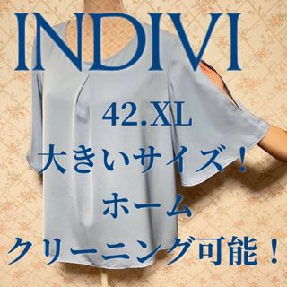 インディヴィ(INDIVI)の★INDIVI/インディヴィ★極美品★ハーフスリーブカットソー42(カットソー(半袖/袖なし))