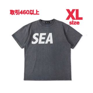 ウィンダンシー(WIND AND SEA)のWIND AND SEA CRACK-P-DYE TEE CHARCOAL XL(Tシャツ/カットソー(半袖/袖なし))