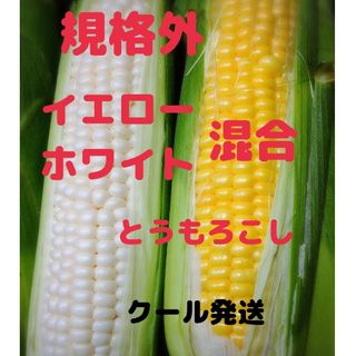 規格外混合とうもろこし 食べ比べセット(野菜)