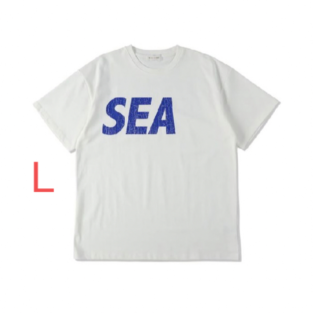 WIND AND SEA Tシャツ CRACK-P-DYE