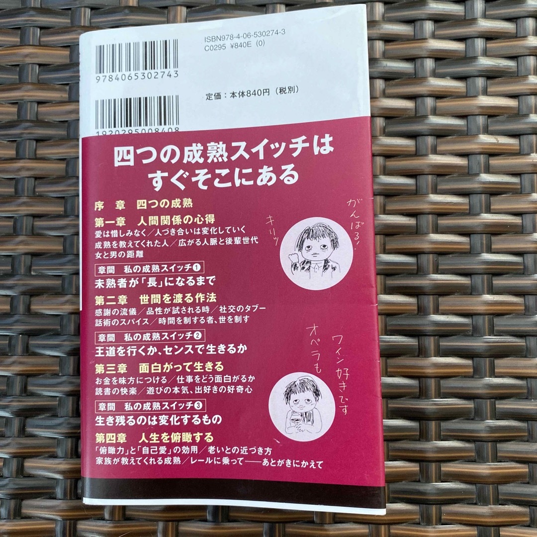 成熟スイッチ エンタメ/ホビーの本(その他)の商品写真