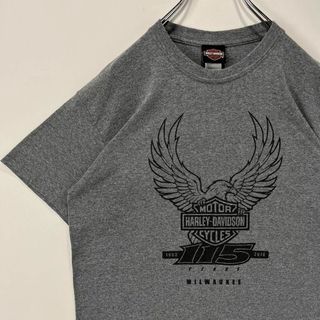 ハーレーダビッドソン ロゴTシャツ Tシャツ・カットソー(メンズ)の通販