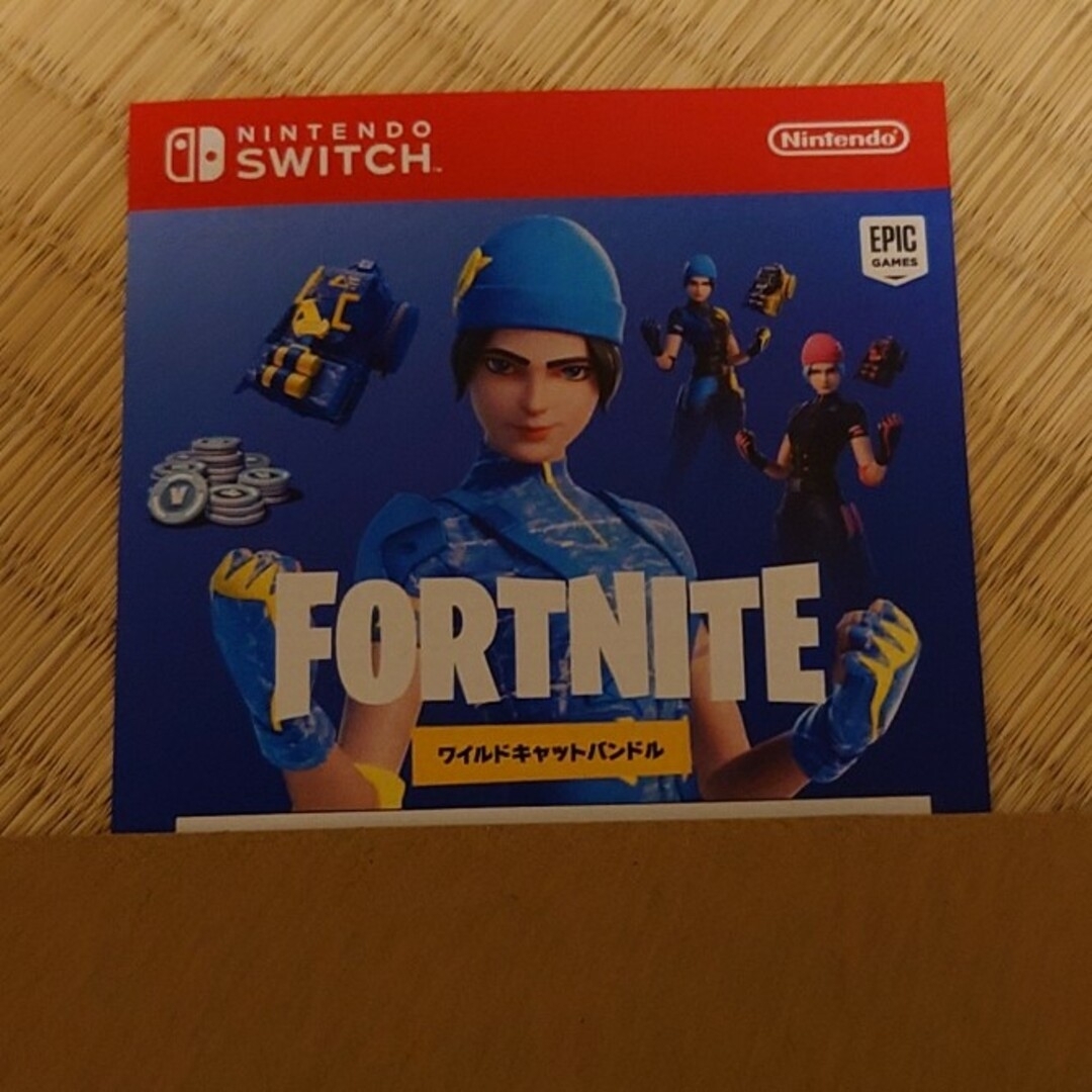 Nintendo Switch Fortnite ワイルドキャットバンドル