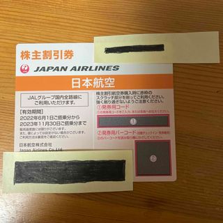 ジャル(ニホンコウクウ)(JAL(日本航空))のJAL 株主優待割引(その他)