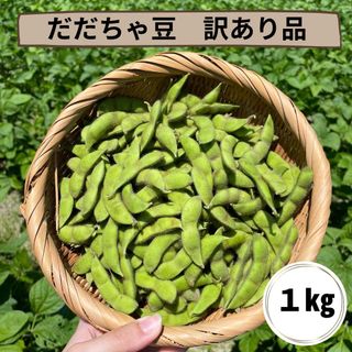 ★7/29以降発送　予約販売★山形県鶴岡市産　だだちゃ豆　1kg(野菜)