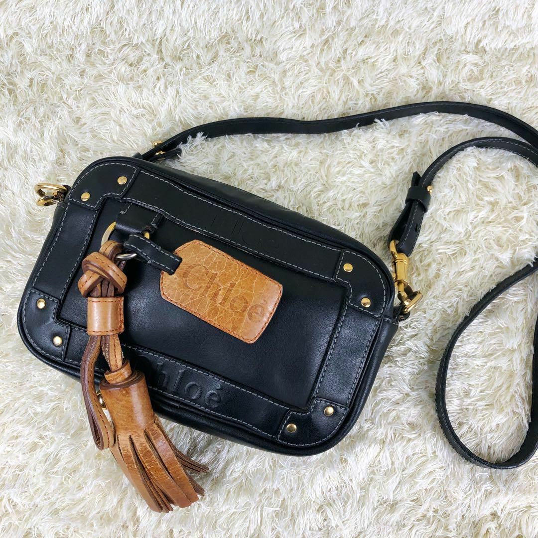 極美品✨Chloe エデン レザー ショルダーバッグ フリンジ パスケース 黒 | フリマアプリ ラクマ