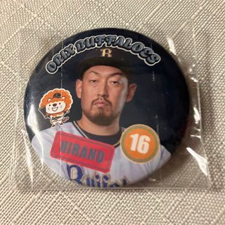 オリックスバファローズ(オリックス・バファローズ)の平野佳寿(スポーツ選手)