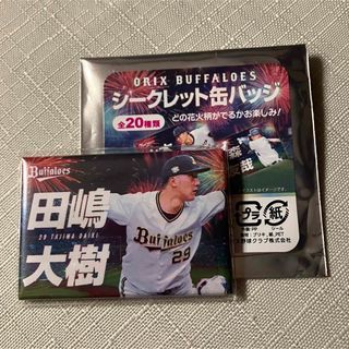 オリックスバファローズ(オリックス・バファローズ)の田嶋大樹缶バッジ(スポーツ選手)