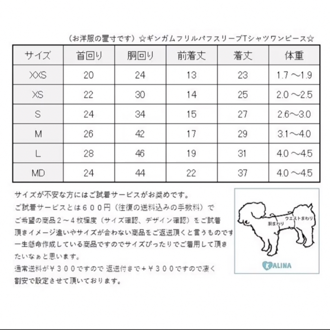 カリーナ　新品　ワンピース