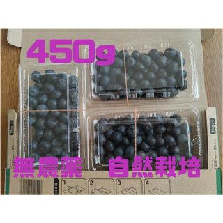 ブルーベリー　450g 　７月30日発送(フルーツ)