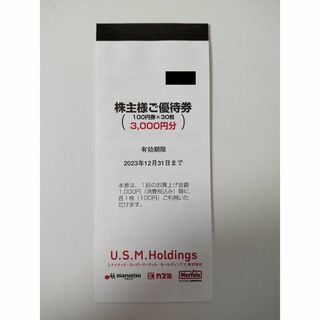 USMH ユナイテッドスーパーマーケット 株主優待券(ショッピング)