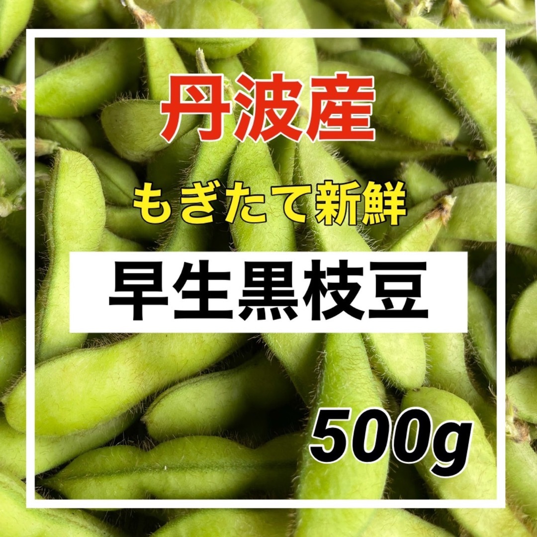 丹波産‼️旨みたっぷり早生黒枝豆‼️ついつい食べちゃう1キロ入り‼️ 食品/飲料/酒の食品(野菜)の商品写真