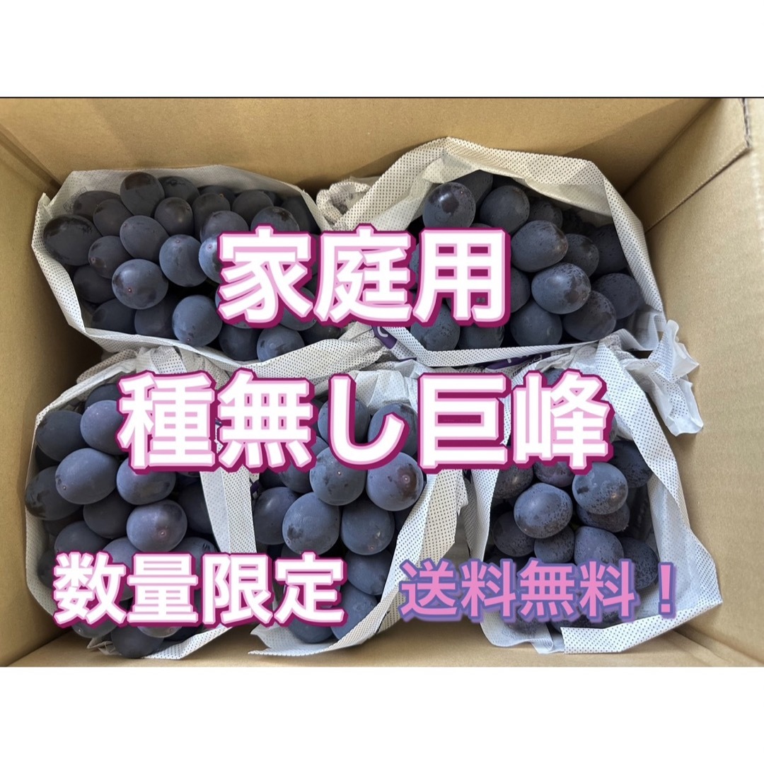 家庭用種無し巨峰　産地直送　山梨　ぶどう　数量限定食品/飲料/酒