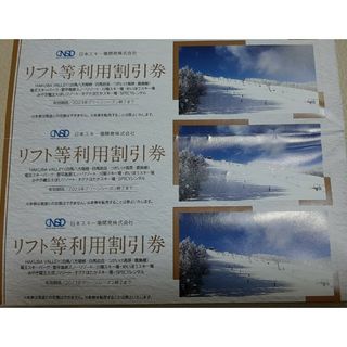 日本駐車場開発　株主優待　リフト等利用割引券 3枚(その他)