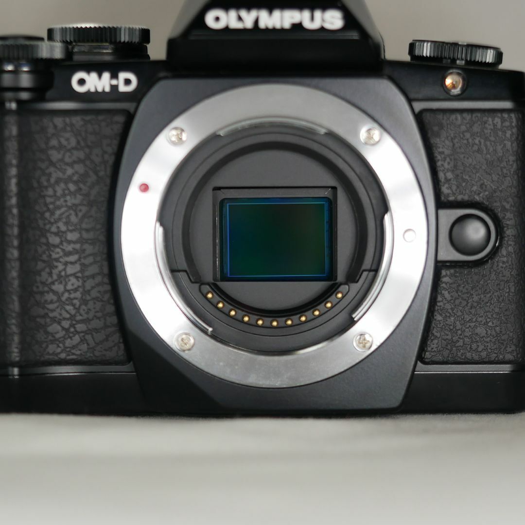 OLYMPUS OM-D E-M10 ボディ＋α 4