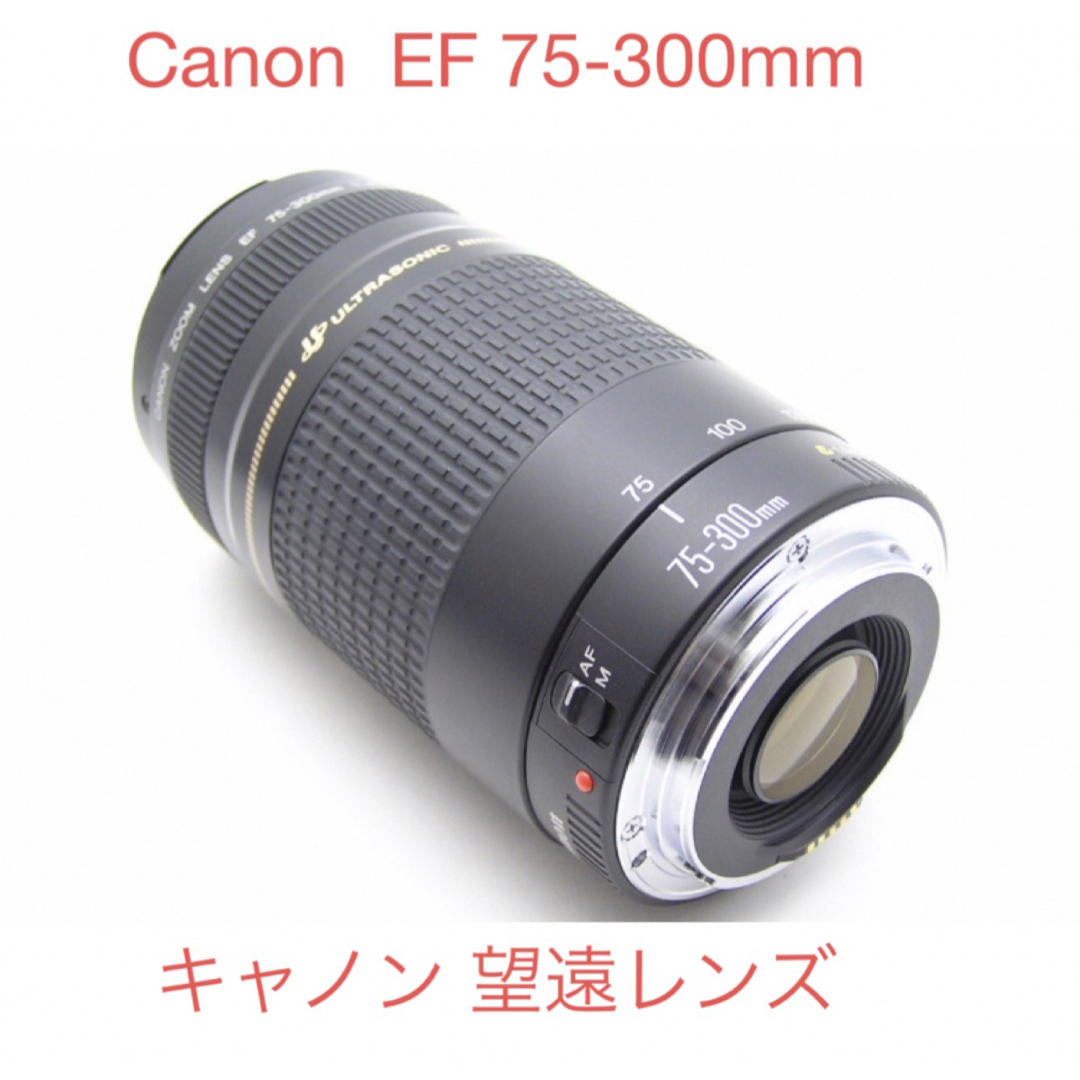 望遠レンズ☆キャノンCanon EF 75-300㎜F4-5.6 USM II