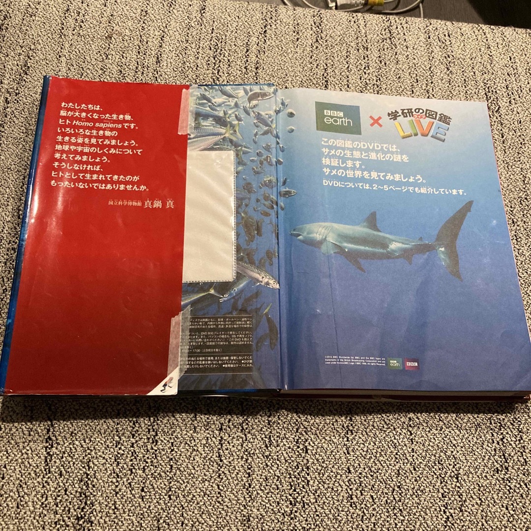 危険生物/学研教育出版/大場達之 エンタメ/ホビーの本(絵本/児童書)の商品写真