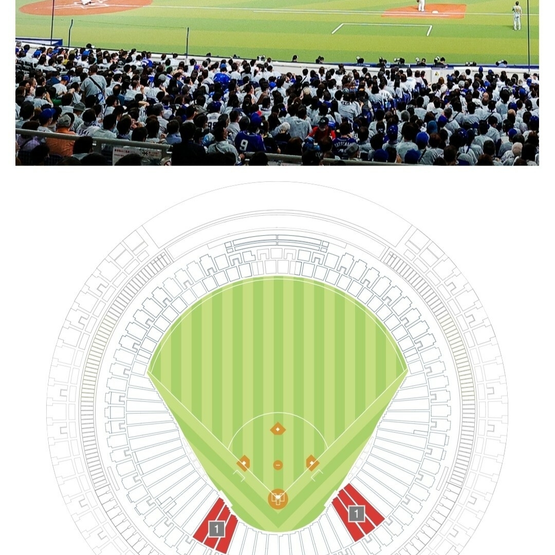中日ドラゴンズ - 【限界値下】 8月3日 バンテリンドーム 中日 中日ドラゴンズ - 【限界値下】 8月3日 バンテリンドーム 中日
