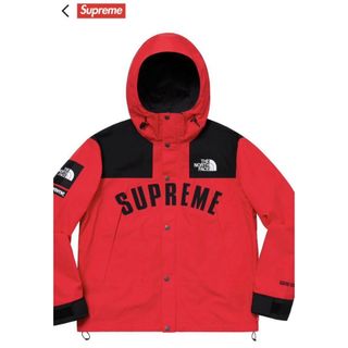 シュプリーム(Supreme)のSupreme The North Face Mountain Parka(マウンテンパーカー)