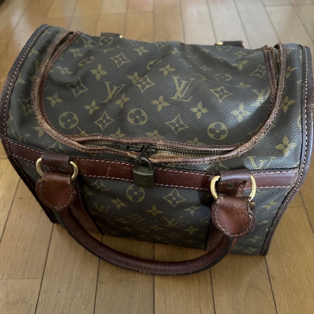 LOUIS VUITTON(ルイヴィトン)のルイヴィトン　バッグ レディースのバッグ(ハンドバッグ)の商品写真