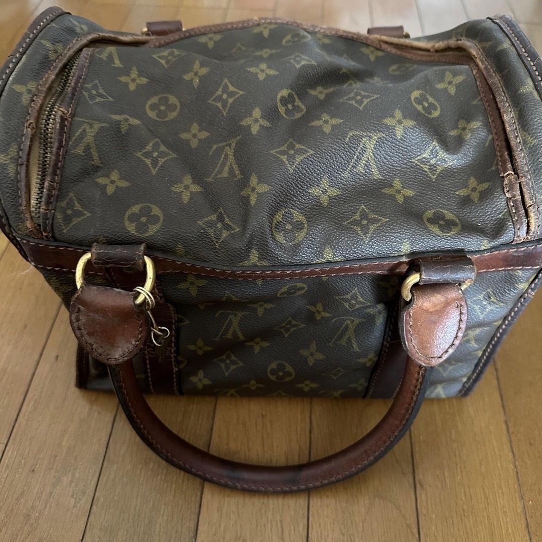 LOUIS VUITTON(ルイヴィトン)のルイヴィトン　バッグ レディースのバッグ(ハンドバッグ)の商品写真