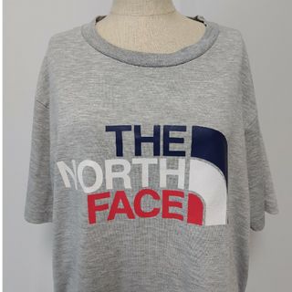 ザノースフェイス(THE NORTH FACE)の人気のLサイズ🌈THE NORTH FACETシャツ(シャツ)