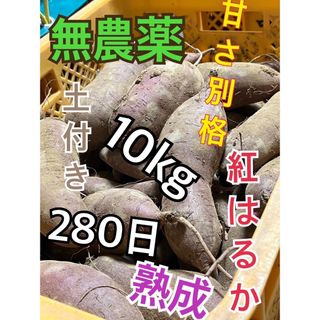 土付き無農薬大分産ブランド芋サツマイモ280日熟成紅はるか10キロ送料無料LA品(野菜)