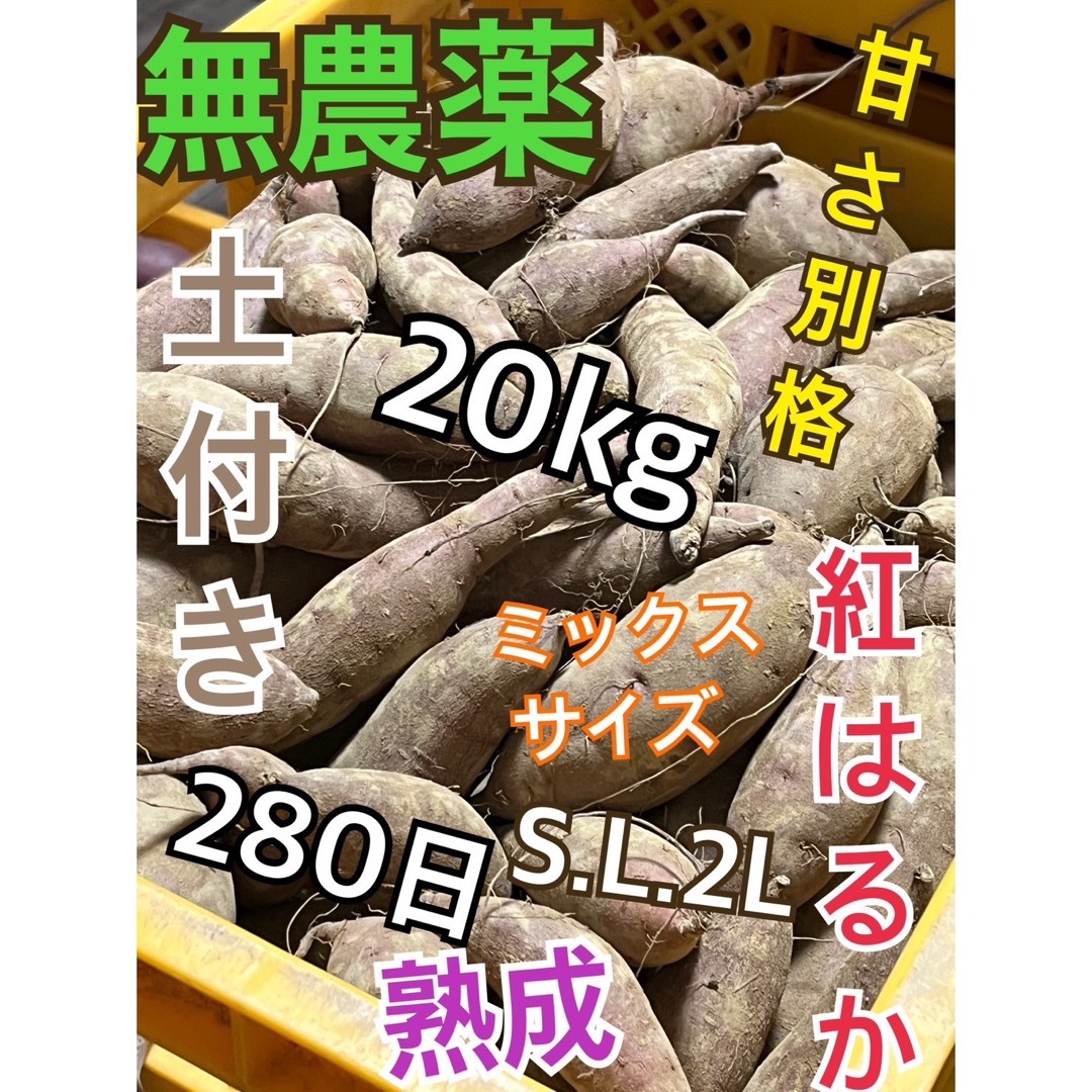 土付き無農薬大分産ブランド芋サツマイモ280日熟成紅はるか20キロ送料無料A品