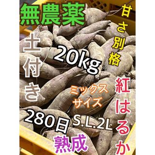 南北商店｜フリマアプリ ラクマ