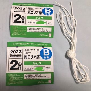 長岡花火 チケット 2023 8/2(水) 2枚 南エリア みどり席(その他)