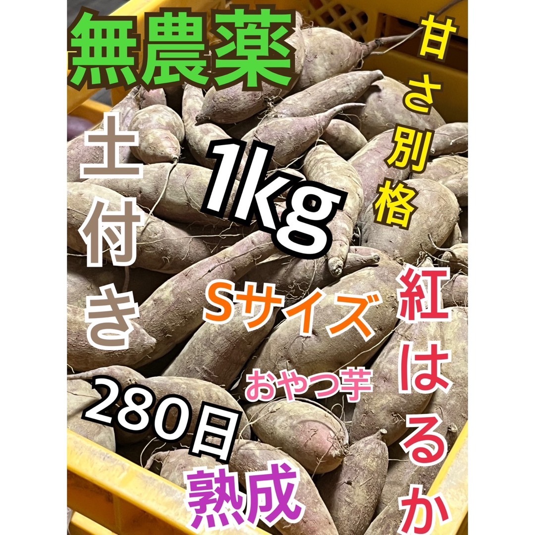 土付き無農薬大分産ブランド芋サツマイモ280日熟成紅はるか1キロ送料無料SA品 食品/飲料/酒の食品(野菜)の商品写真