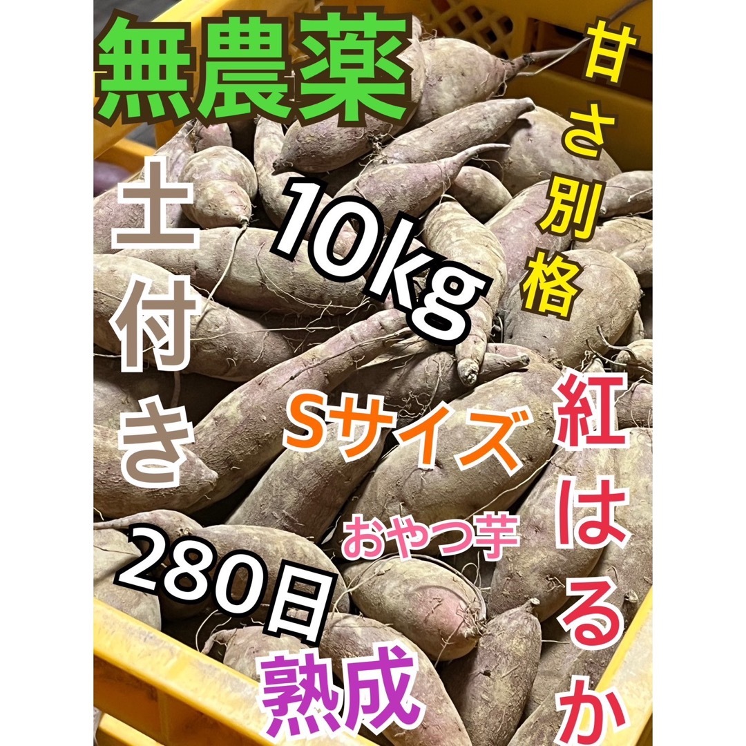 食品/飲料/酒土付き無農薬大分産ブランド芋サツマイモ280日熟成紅はるか10キロ送料無料SA品