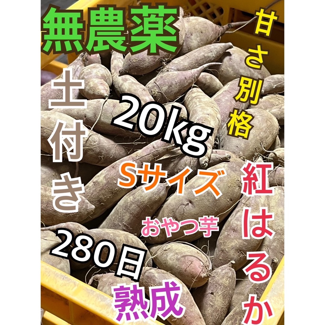 土付き無農薬大分産ブランド芋サツマイモ280日熟成紅はるか25キロ送料