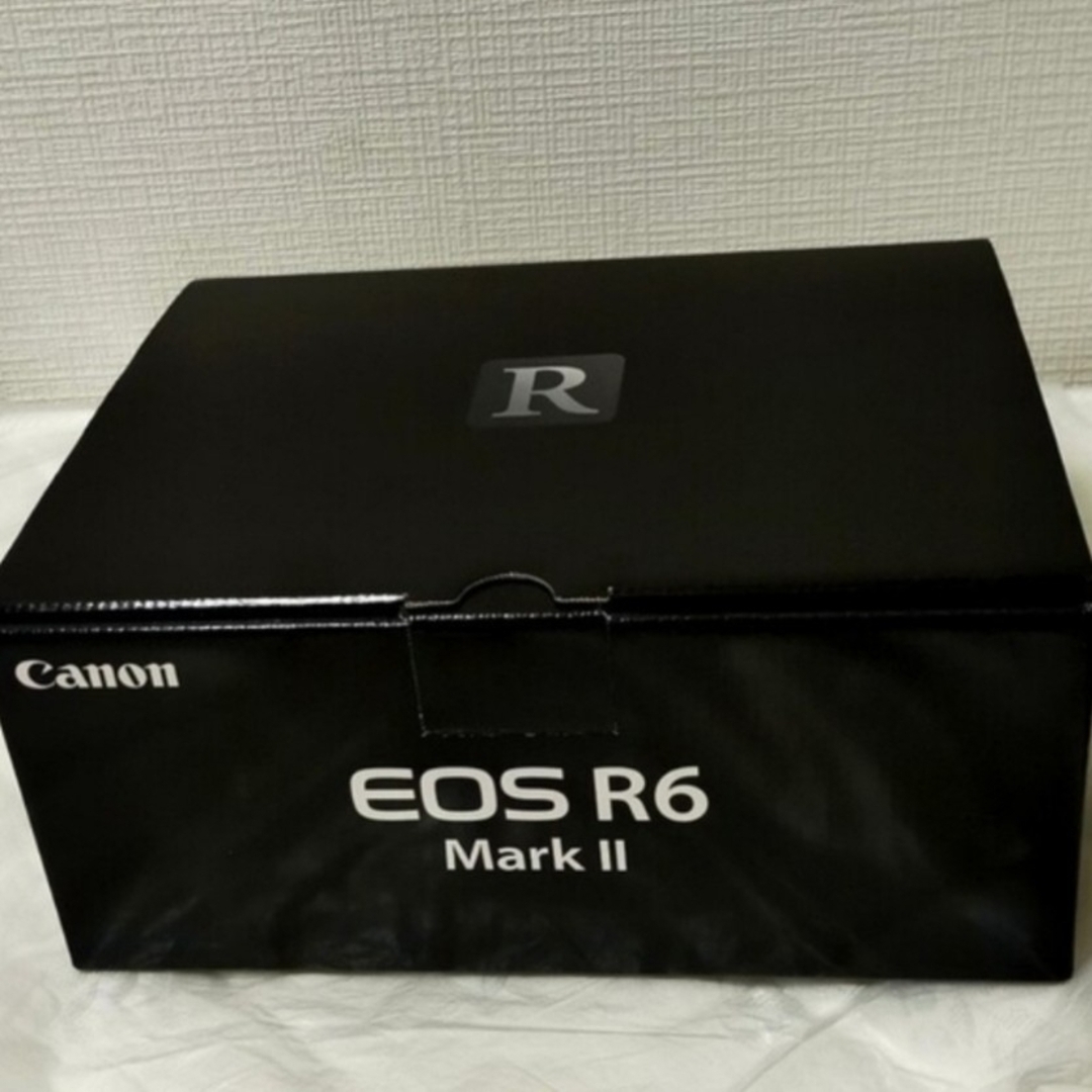 cannon eos r6 mark2