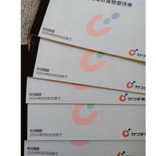カワチ薬品　株主優待券　25000円分(ショッピング)