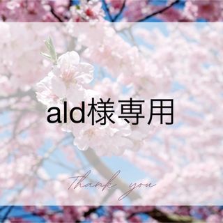 ald様専用(母子手帳ケース)