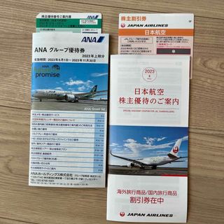 ジャル(ニホンコウクウ)(JAL(日本航空))のJAL ANA 株主優待　(その他)