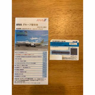 ANA 株主優待(航空券)