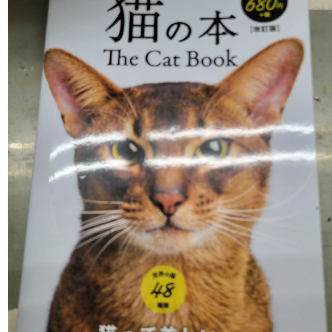 猫の本 改訂版 エンタメ/ホビーの本(住まい/暮らし/子育て)の商品写真