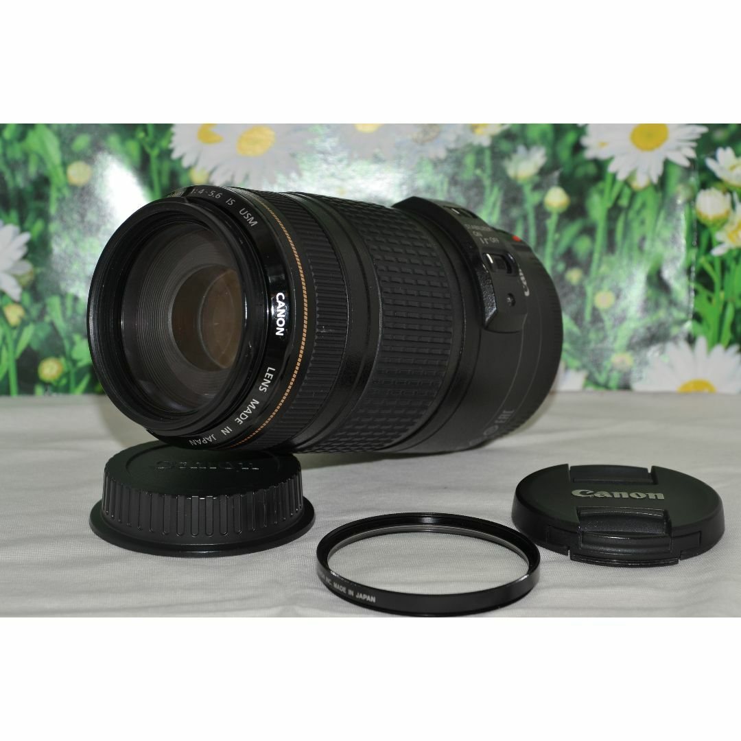 Canon EF 70-300mm F4-5.6 IS USM♥️超望遠レンズ