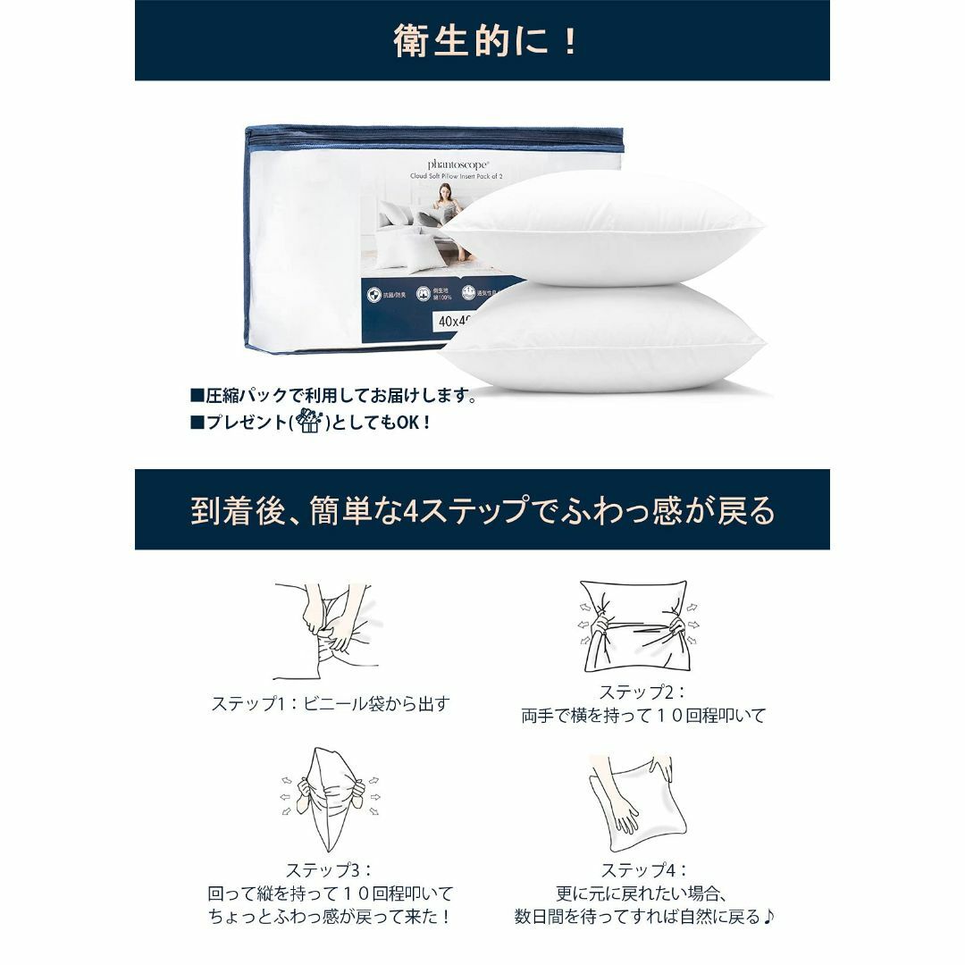Phantoscope クッション 中身 45×45cm 2個セット 側生地 綿