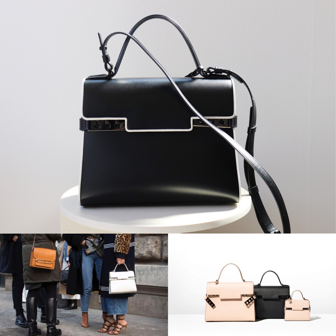 バッグ極美品 Delvaux タンペートMM 限定カラー ショルダー バッグ