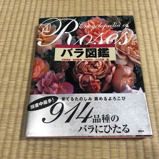 コウダンシャ(講談社)のバラ図鑑 決定版(趣味/スポーツ/実用)